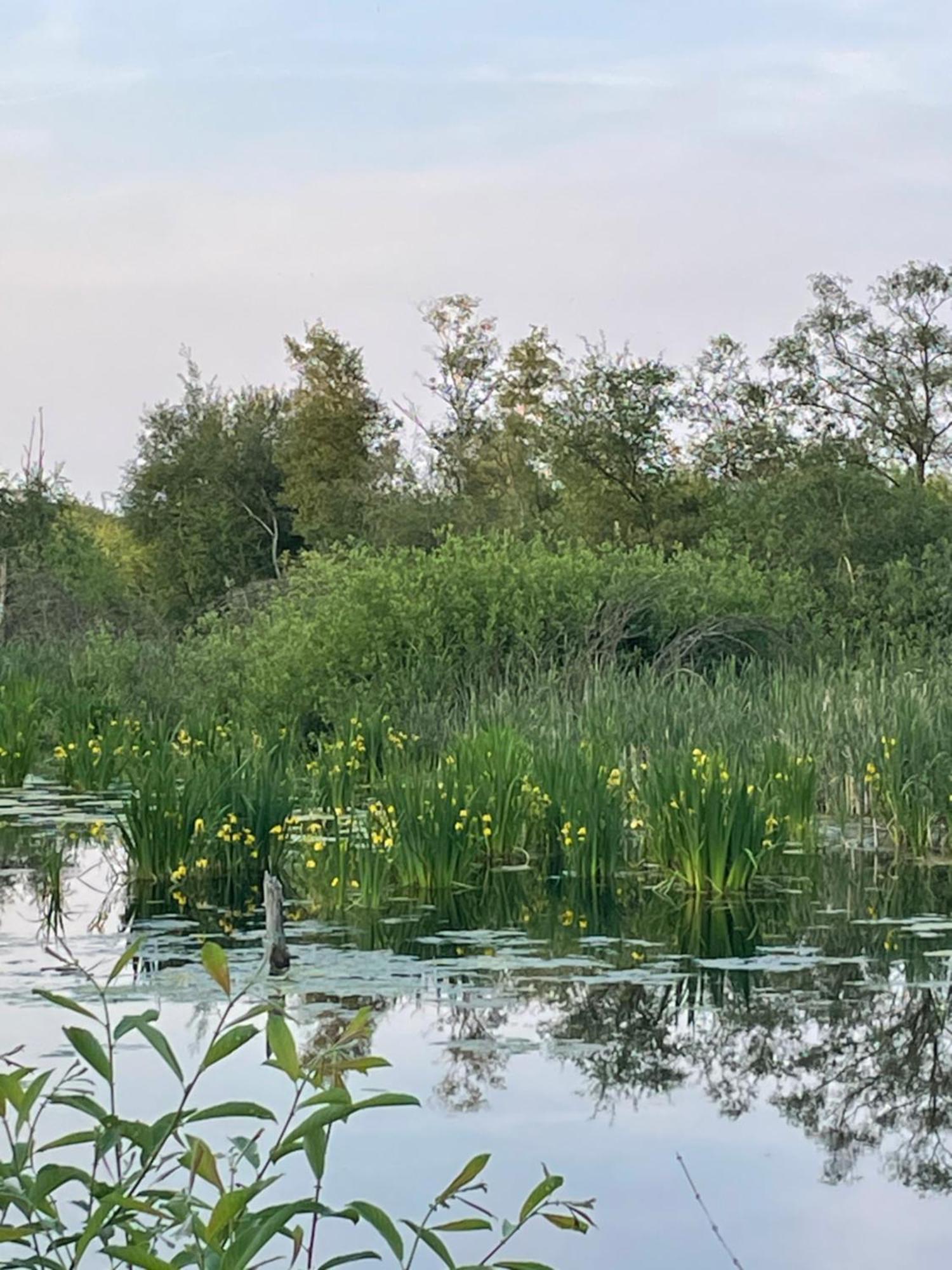 Vakantiewoning Hegga Hegelsom Dış mekan fotoğraf