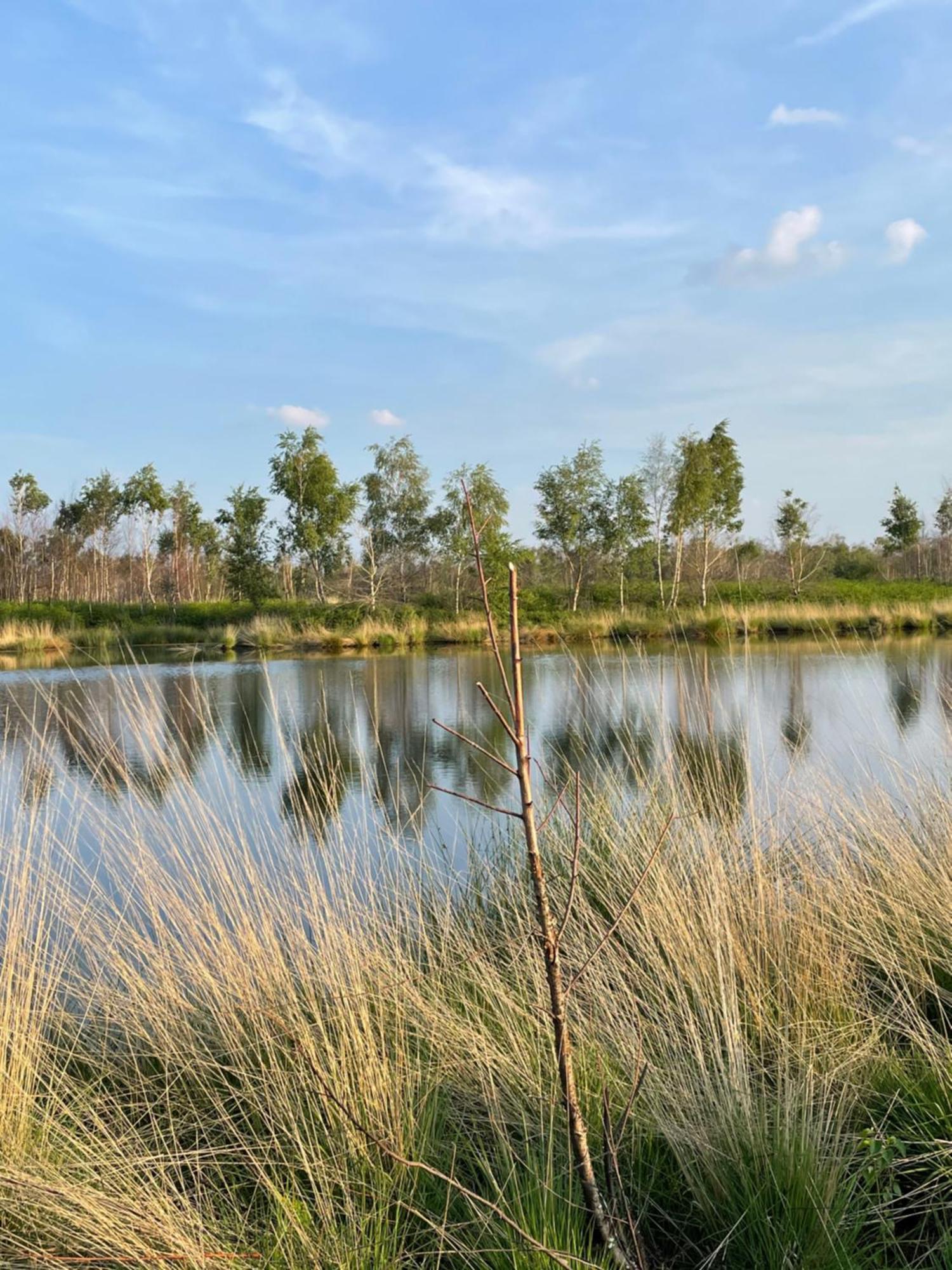 Vakantiewoning Hegga Hegelsom Dış mekan fotoğraf